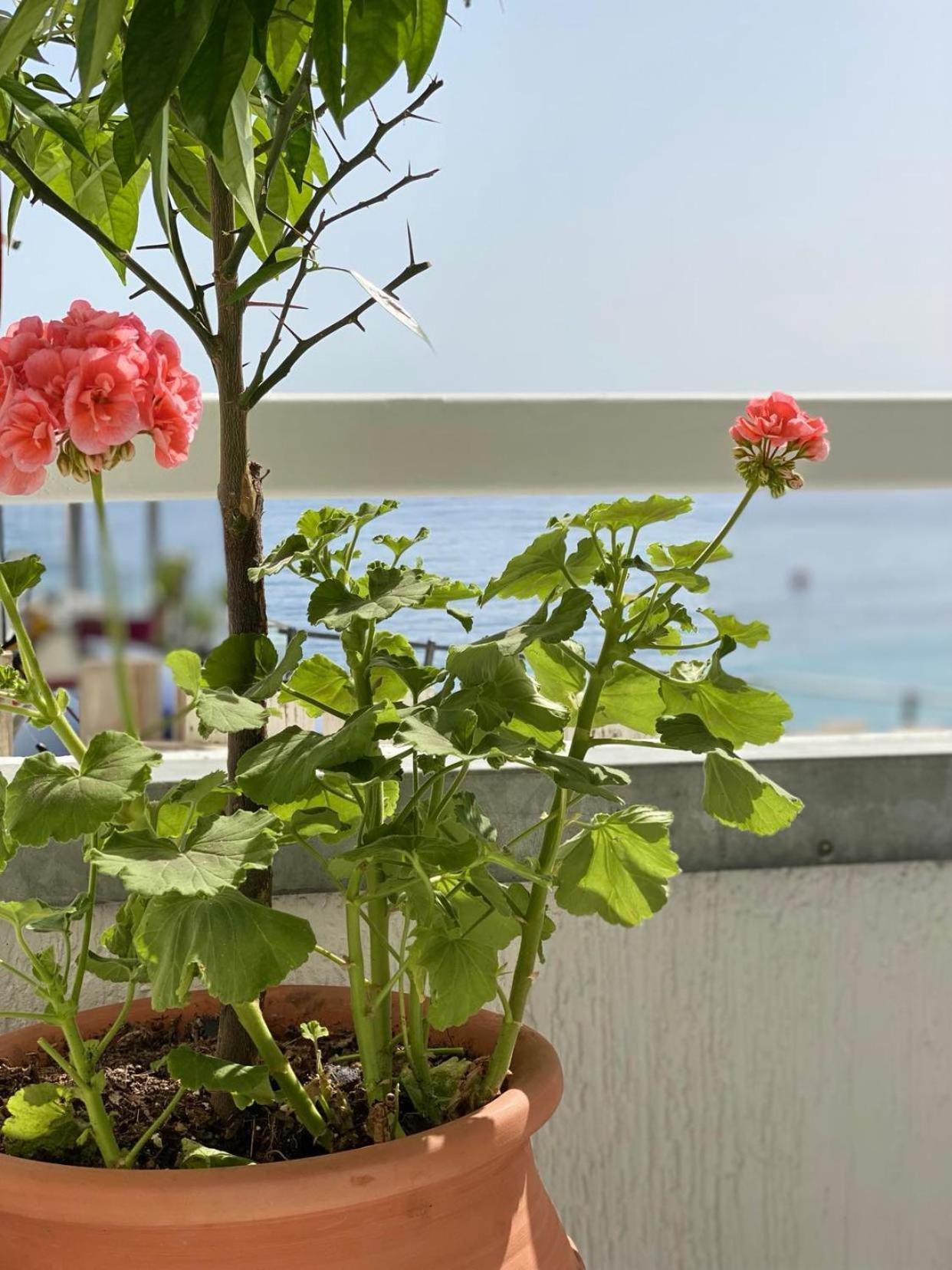 Geo & Art Boutique Hotel Himara Zewnętrze zdjęcie